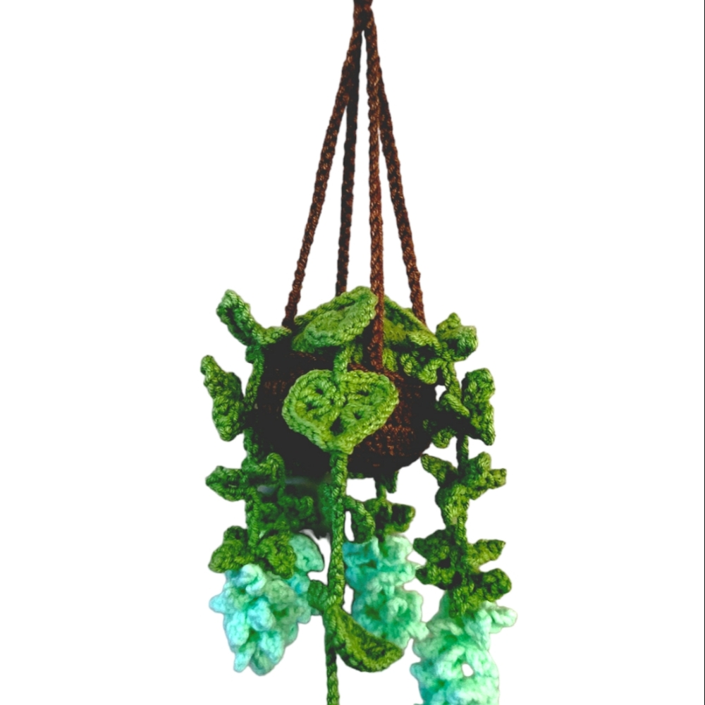 Handmade Mini Hanging Plant for Car